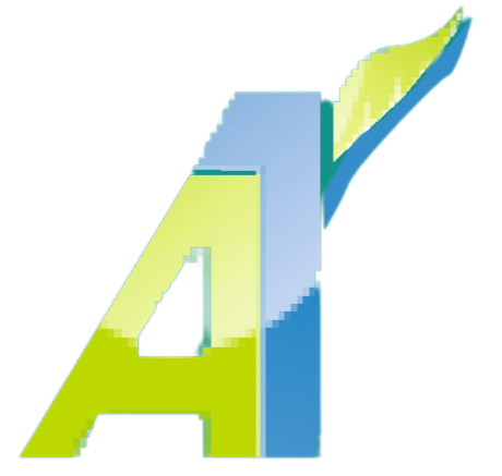 A1